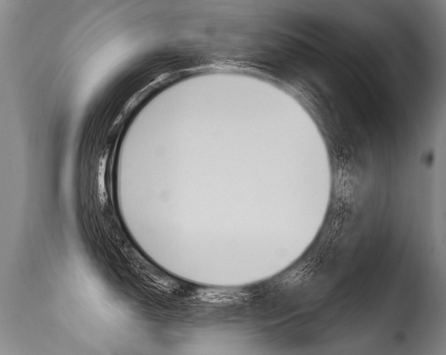 X0000115631150200911101113