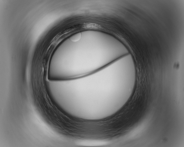 X0000115631151200911101113