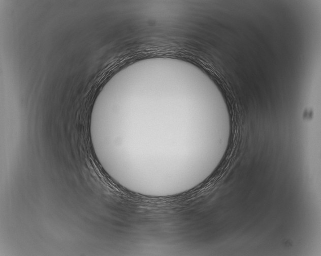 X0000115631153200911101112