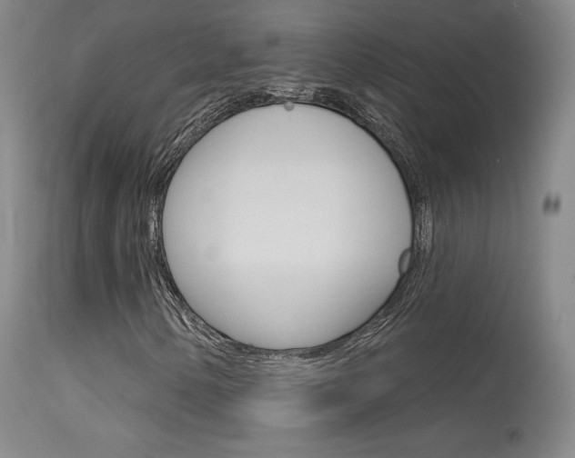X0000115631154200911101112