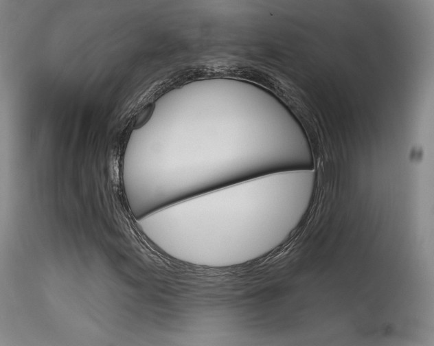 X0000115631155200911101112