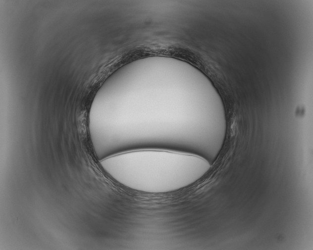 X0000115631156200911101112