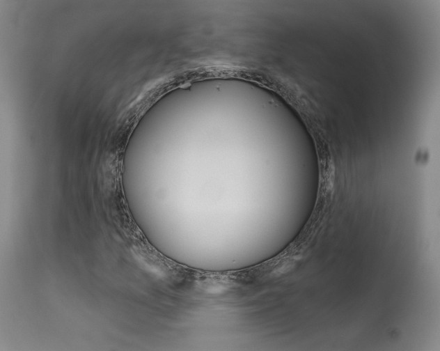 X0000115631157200911101112