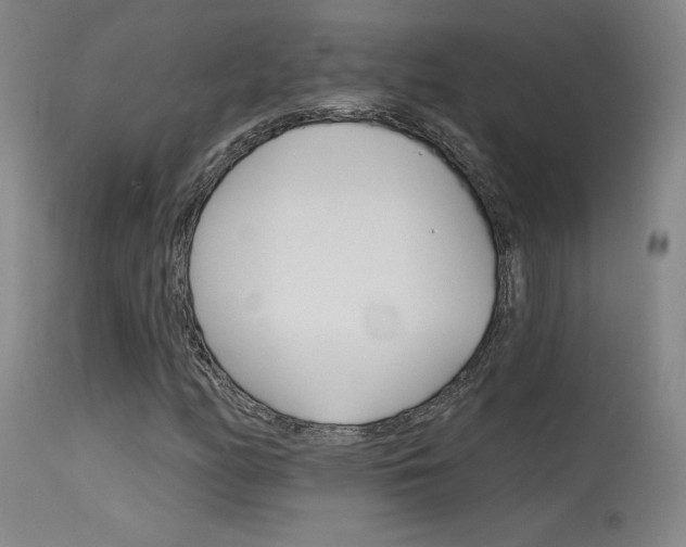 X0000115631158200911101112