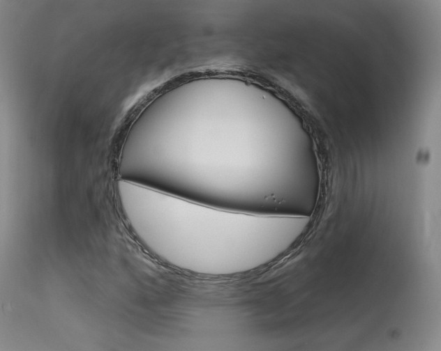 X0000115631160200911101112