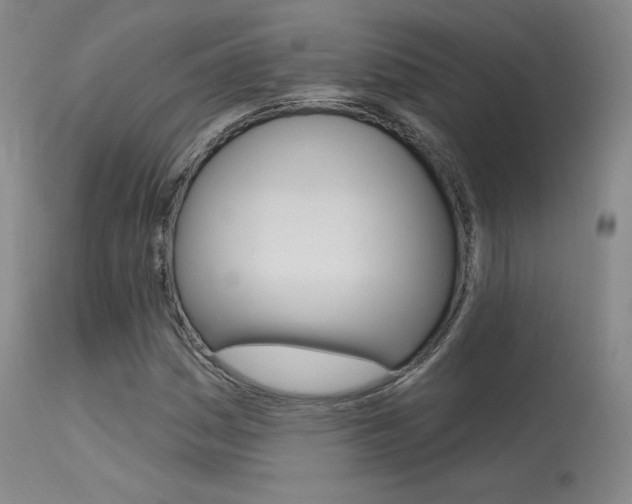 X0000115631161200911101112