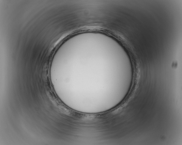 X0000115631162200911101112