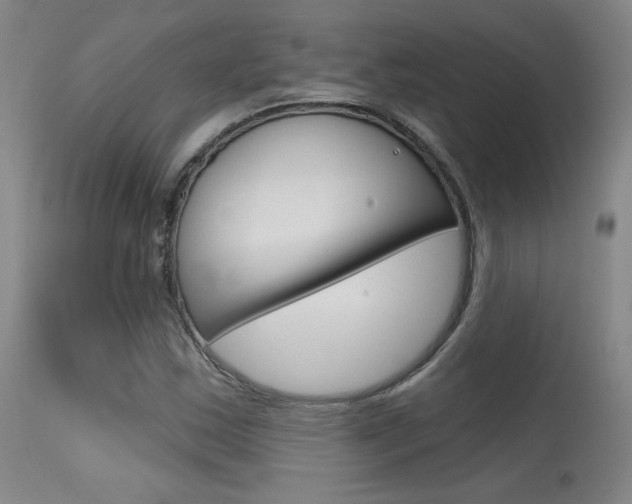X0000115631163200911101112