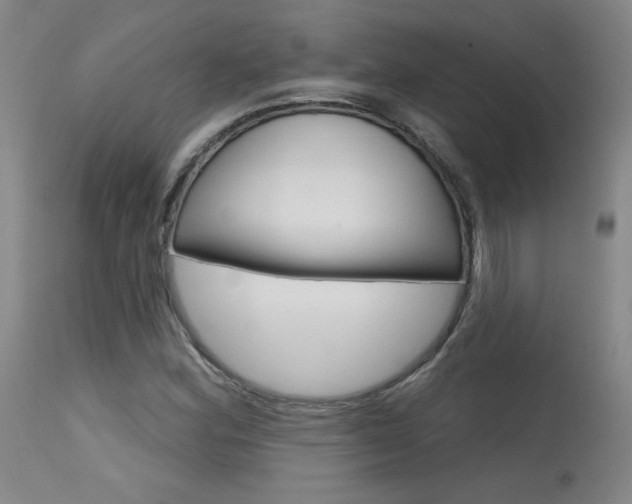 X0000115631164200911101112