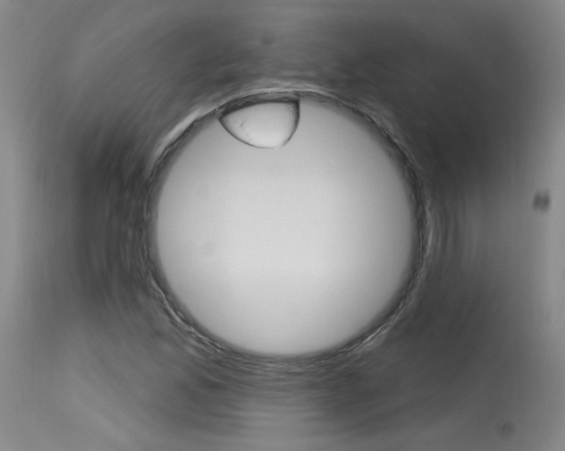 X0000115631165200911101112