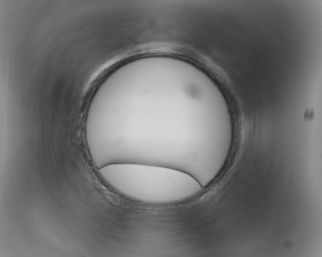 X0000115631166200911101112