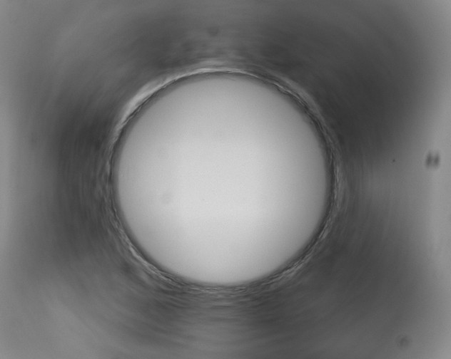 X0000115631168200911101112