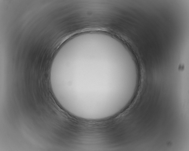 X0000115631169200911101112