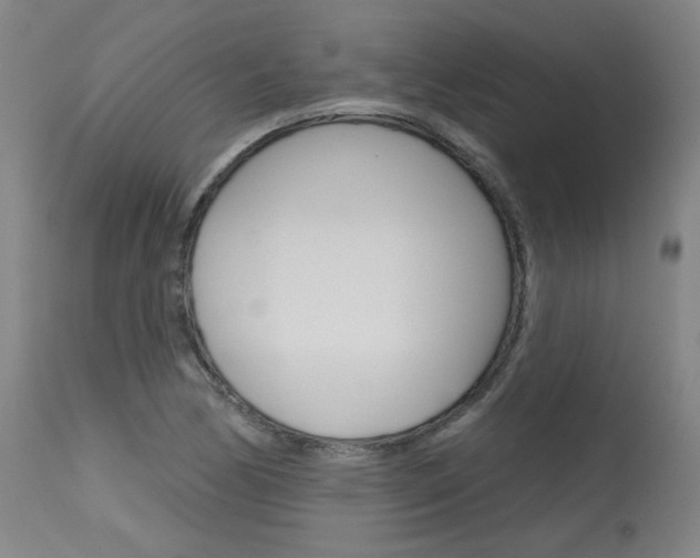 X0000115631170200911101112
