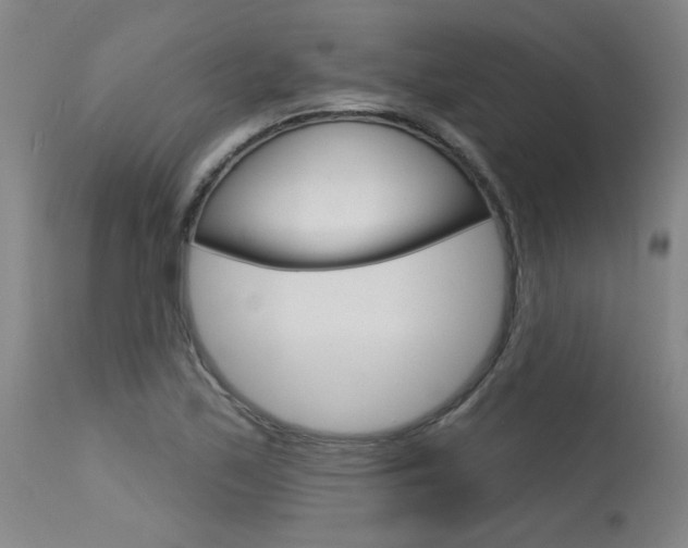 X0000115631171200911101112