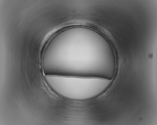 X0000115631172200911101112