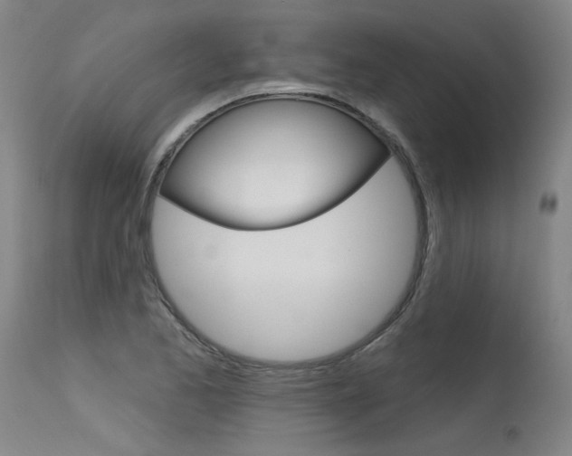 X0000115631173200911101112