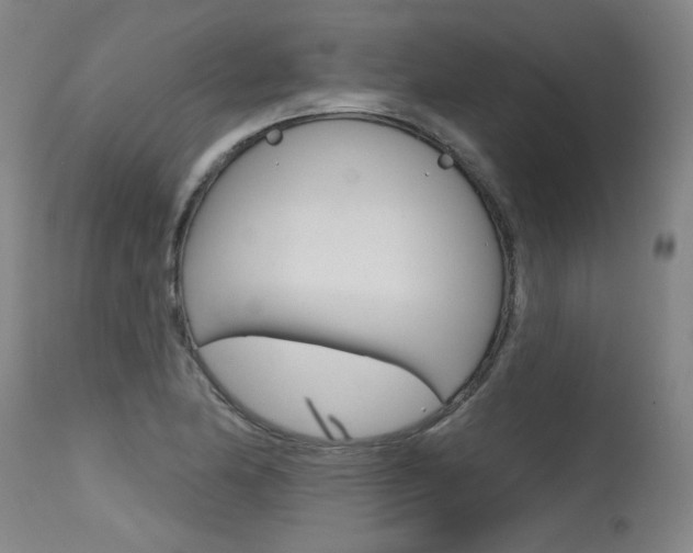 X0000115631174200911101112