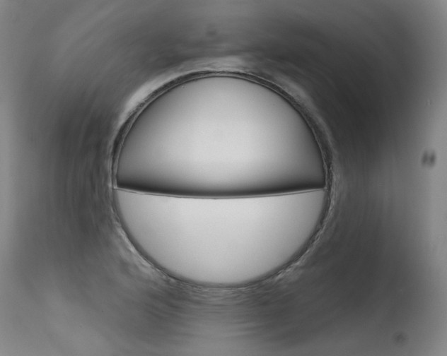X0000115631176200911101112