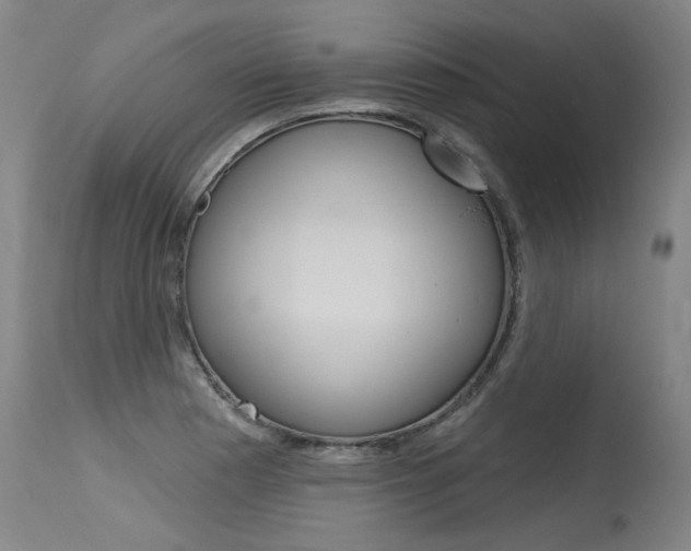 X0000115631177200911101112