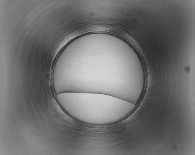 X0000115631178200911101112