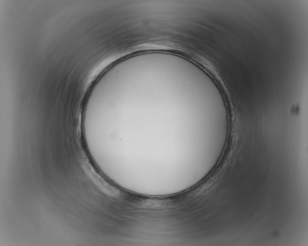 X0000115631179200911101112