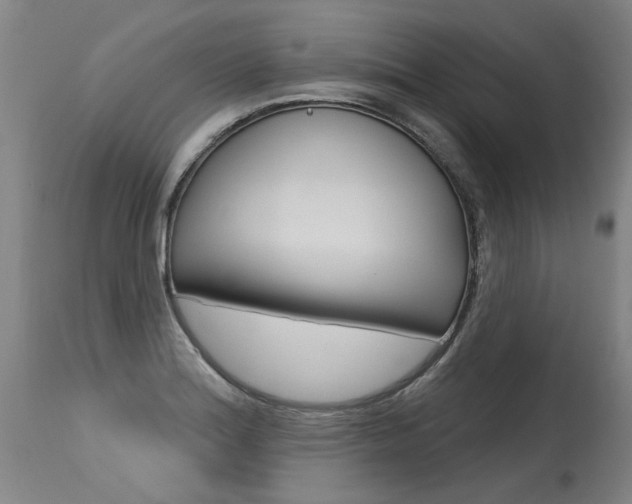 X0000115631180200911101112