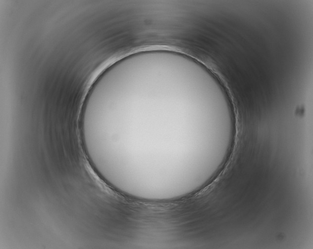 X0000115631181200911101112
