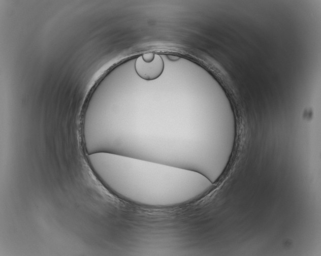 X0000115631182200911101112