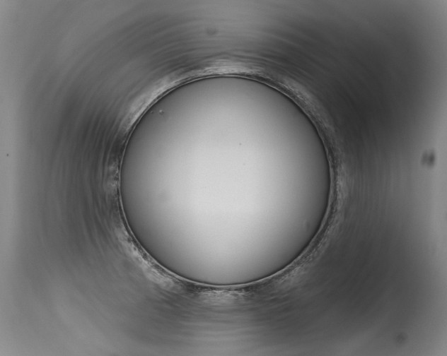 X0000115631185200911101112