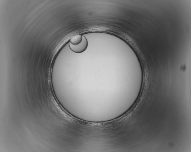 X0000115631186200911101112
