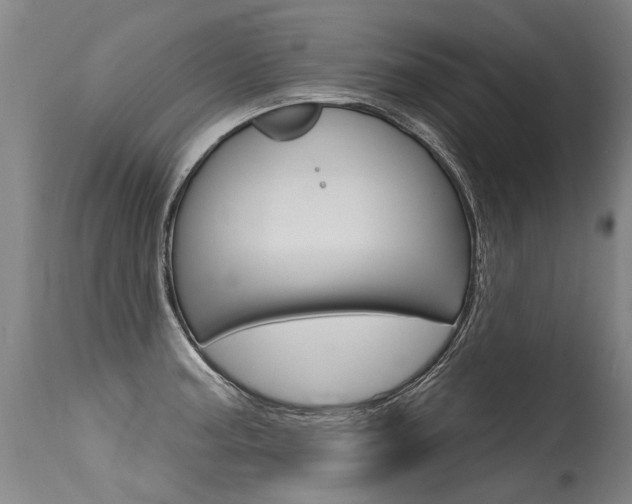 X0000115631187200911101112