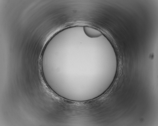 X0000115631190200911101112
