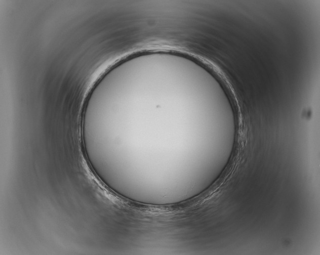 X0000115631191200911101112