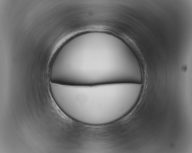 X0000115631192200911101112