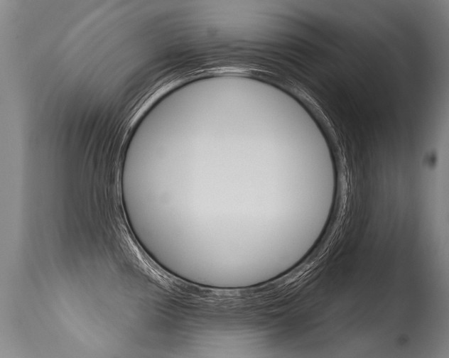 X0000115631194200911101112