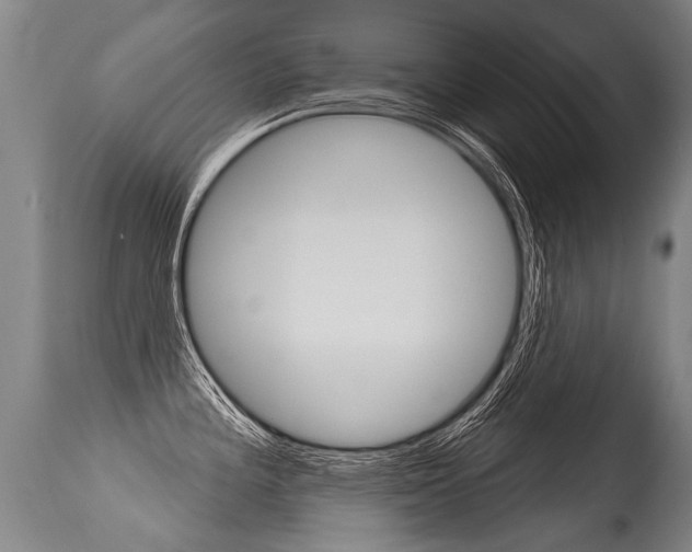 X0000115631196200911101112