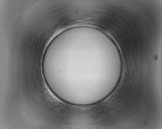 X0000115631197200911101112