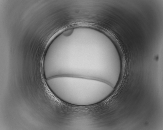 X0000115631198200911101112
