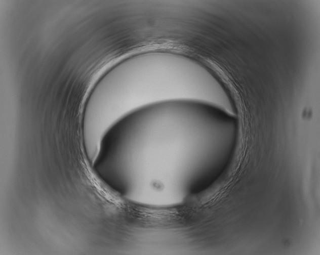 X0000115631200200911101112
