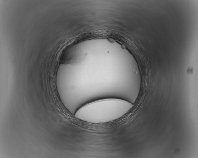 X0000115631201200911101111