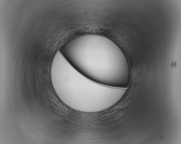 X0000115631202200911101111