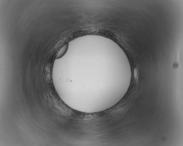 X0000115631203200911101111