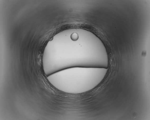 X0000115631204200911101111