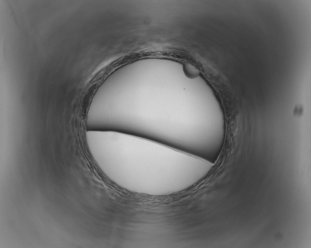 X0000115631206200911101111