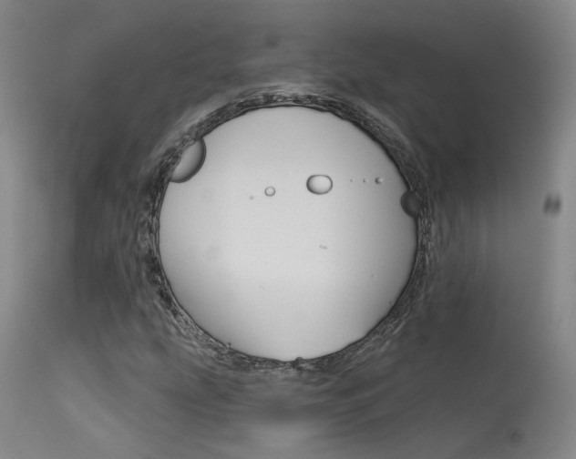 X0000115631207200911101111