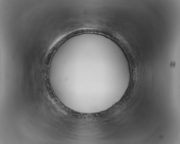 X0000115631208200911101111