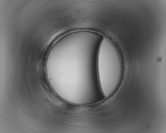 X0000115631210200911101111