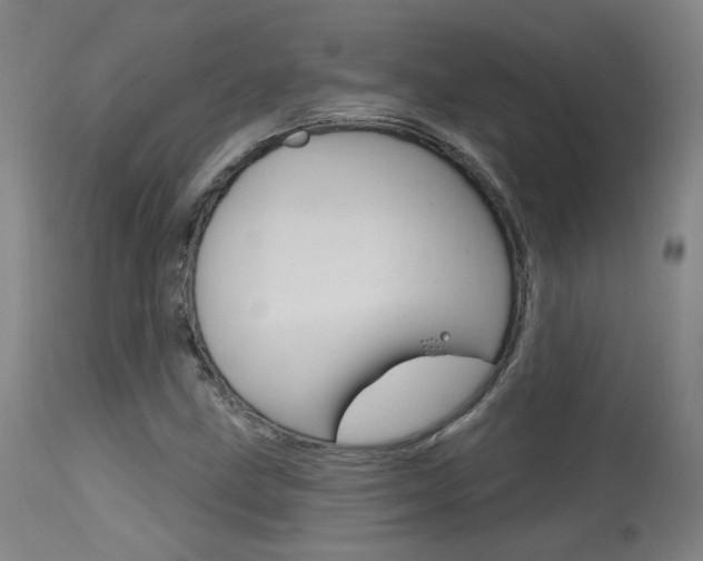 X0000115631211200911101111