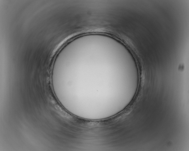 X0000115631212200911101111